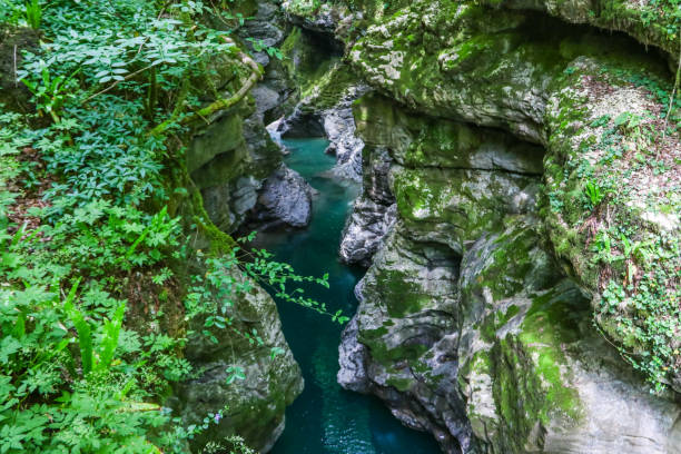 istock Martvili canyon in Georgia 1153395562