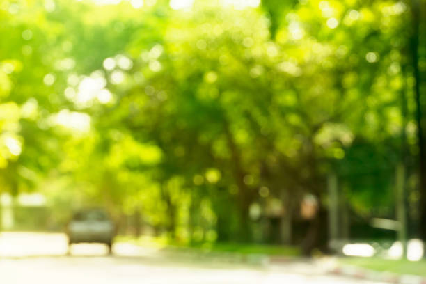 istock blur summer green sunlight tree beside the road with car nature background 1153397582