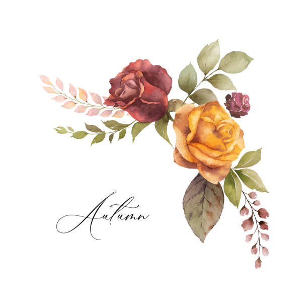 Watercolor vector autumn wreath with rose and leaves isolated on white background. Watercolor vector autumn wreath with rose and leaves isolated on white background. Arrangement for greeting cards, wedding invitations, invite and decorations. fall flower stock illustrations