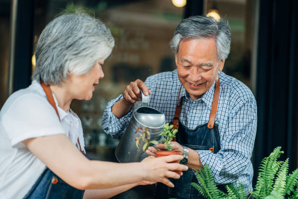 encantador par senior plantas de riego - planting clothing gray hair human age fotografías e imágenes de stock