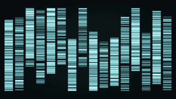 デザインカラービッグゲノムデータ可視化ベクトル - genealogy research点のイラスト素材／クリップアート素材／マンガ素材／アイコン素材