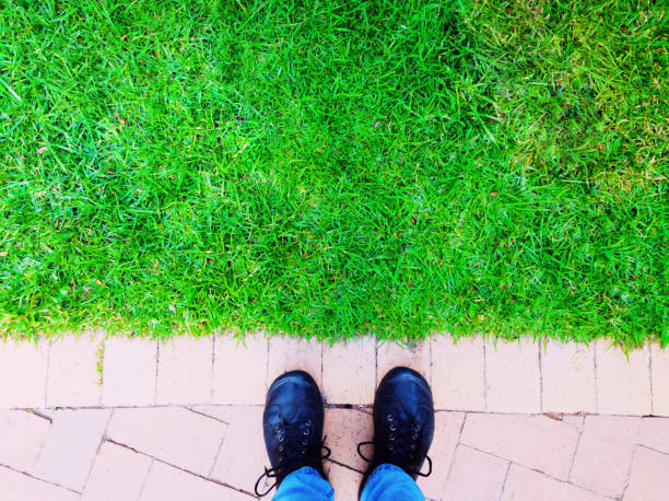 Top view selfie of woman feet and black sneaker stand on the grass field in tropical garden