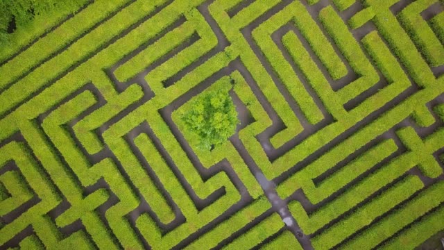 Aerial view of maze, green labyrinth in park