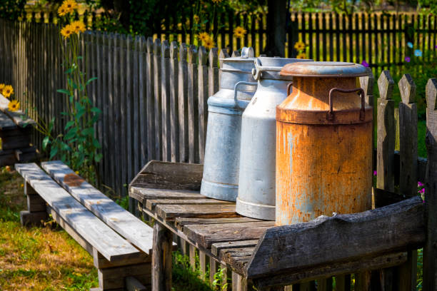 Three rusted milk cans rest on a wooden surface surrounded by lush greenery in a forest, illuminated by bright sunshine during the day.