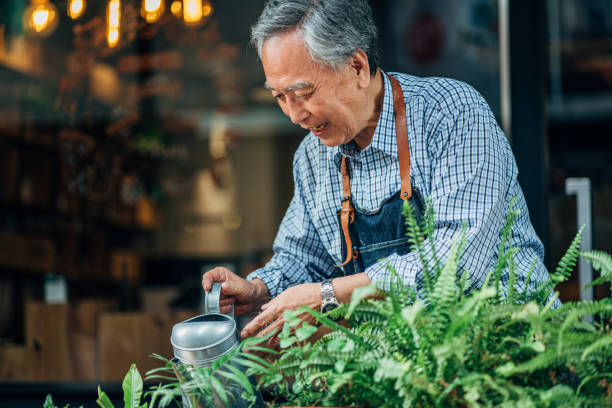 starszy człowiek podlewania roślin - planting clothing gray hair human age zdjęcia i obrazy z banku zdjęć