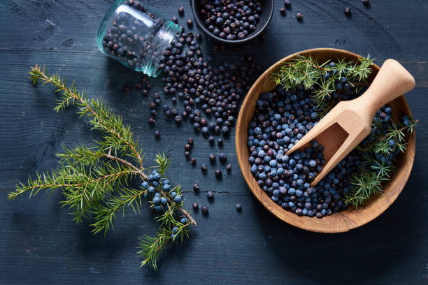 Wooden bowl with seeds of juniper. stock photo