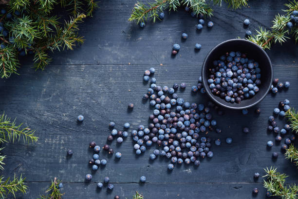 Small bowl with seeds of juniper. stock photo