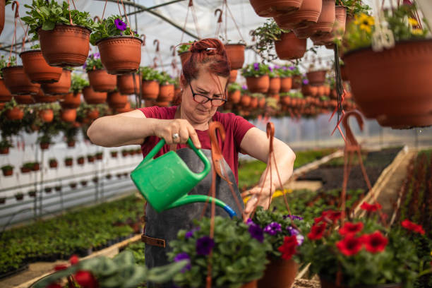 istock Keeping her flowers lush 1153421411