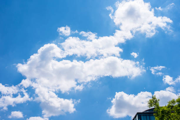 Green leaves against blue sky and white clouds nature background