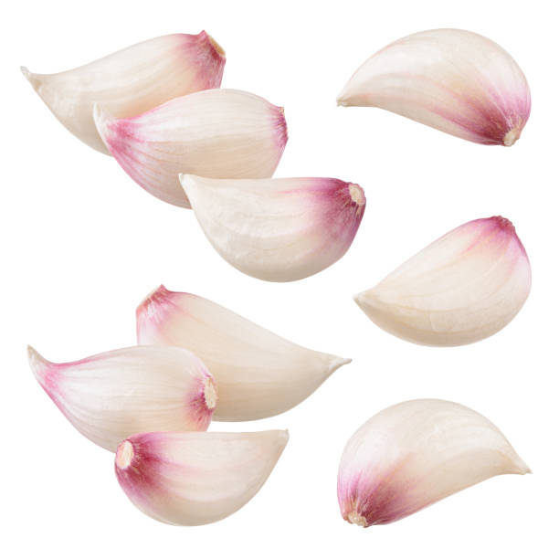 istock Garlic cloves. Garlic isolated. With clipping path. Collection. 1153427315