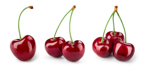Cherry isolated. Cherries on white. Cherry set. With clipping path. Cherry isolated. Cherries on white. Cherry set. With clipping path. cherry photos stock pictures, royalty-free photos & images