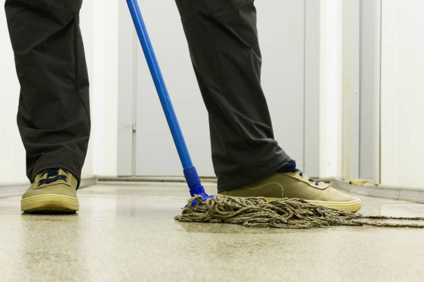 istock Cleaning the house. Floor cleaning with a mop. Bringing order. Housework 1153430206