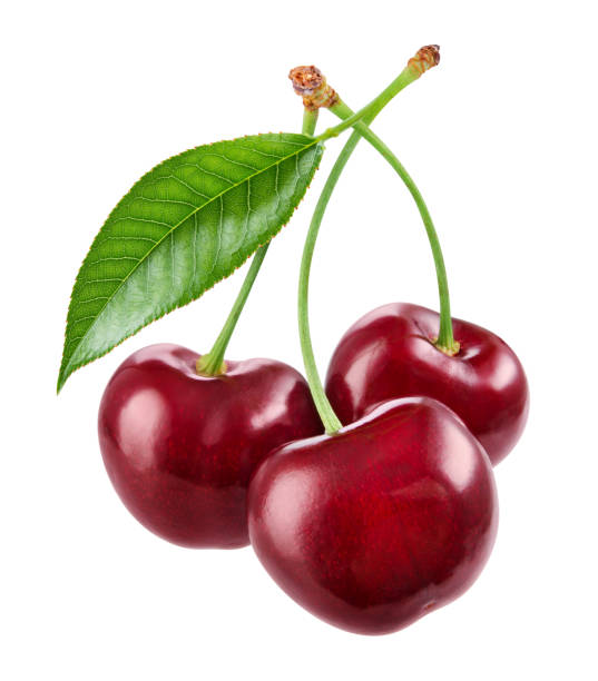 istock Cherry isolated. Cherries on white. Cherries with leaf. With clipping path. 1153430523