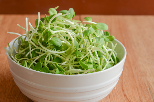 Dish of Salad with green young sunflower sprouts on wooden background,Healthy Raw Organic.