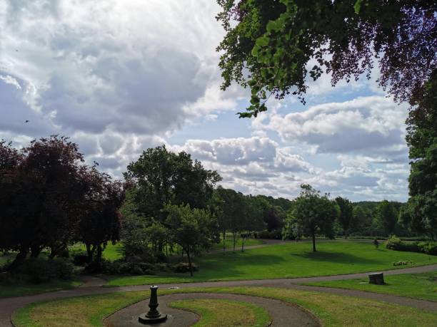 istock Summer's morning in the park 1153431128