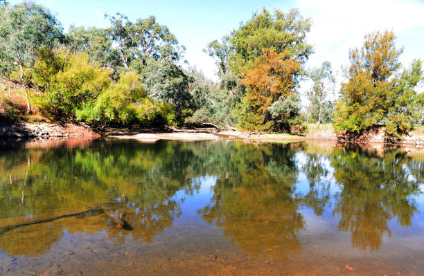 istock Tumut River near Brungle 1153431781
