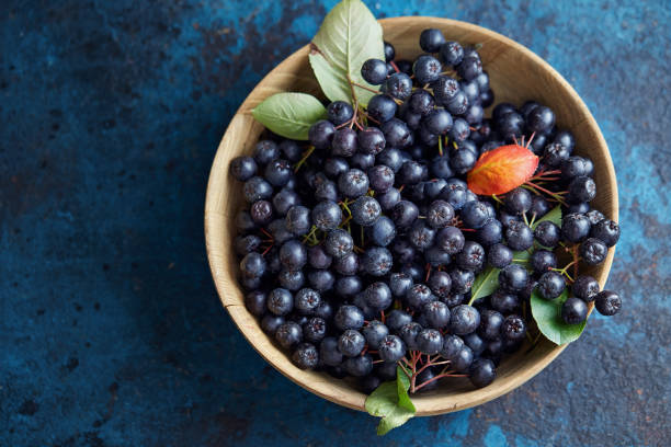 Bowl with freshly picked homegrown aronia berries. Bowl with freshly picked homegrown aronia berries. Aronia, commonly known as the chokeberry, with leaves Aronia berry stock pictures, royalty-free photos & images