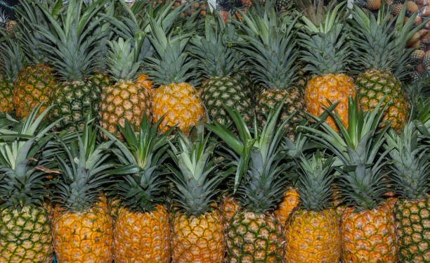 istock Pineapples in the market - Ananas comosus 1153435330