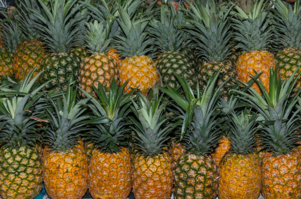 istock Pineapples in the market - Ananas comosus 1153435581