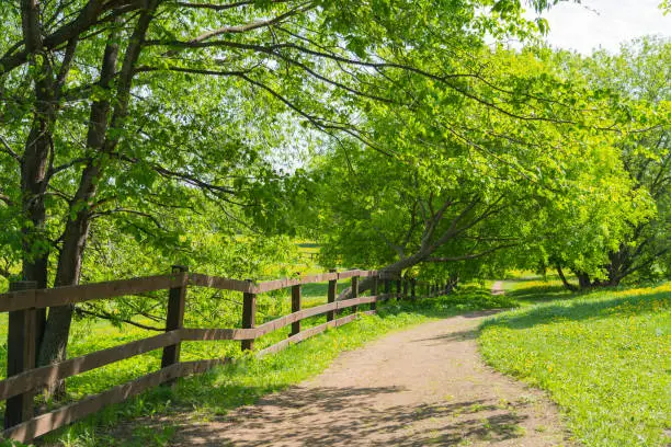 footpath along wooden fence, sunny spring or summer day