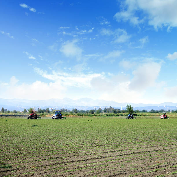 istock Group of tractors working on farm field over blue sky 1153440636