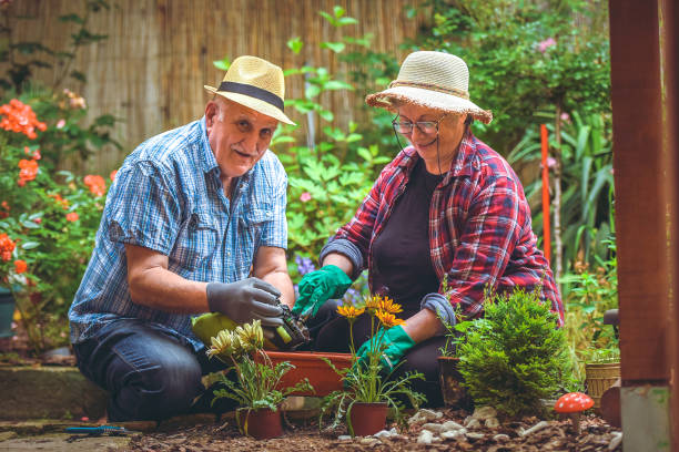 istock A senior couple take care about the flower 1153443613