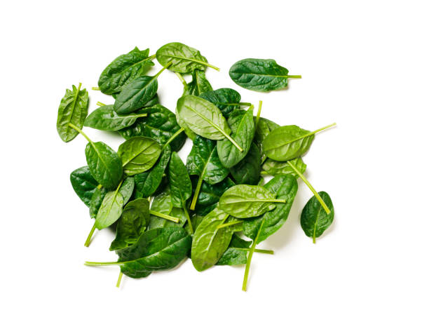 istock Heap of baby spinach isolated 1153443801