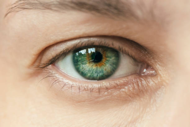 女性のグリーンアイマクロショットのクローズアップ - huge eyes ストックフォトと画像