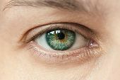 Close-up of female green eye macro shot