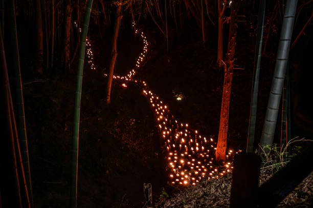 small-diameter light-up of the bamboo grove (small desk castle forest of citizen) - 13448 imagens e fotografias de stock