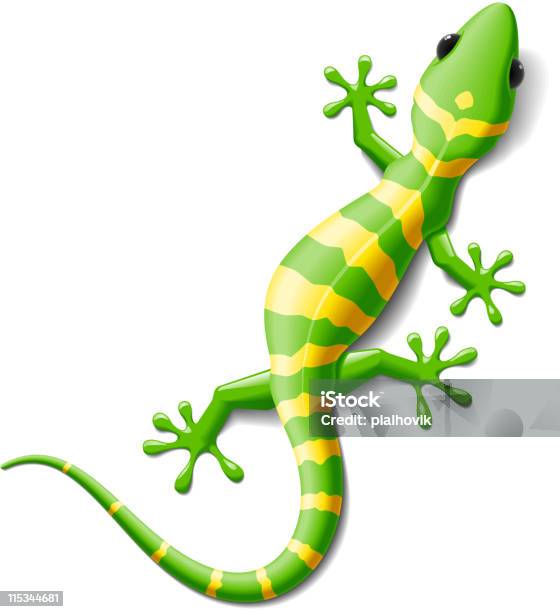 Gecko Stock Illustration - Download Image Now - Gecko, Lizard, Salamander