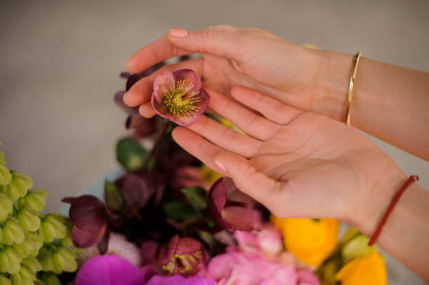istock Small beautiful flower in accurate girl hands 1153449124