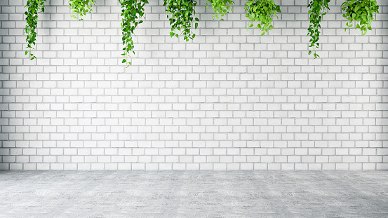 Empty brick wall with plants