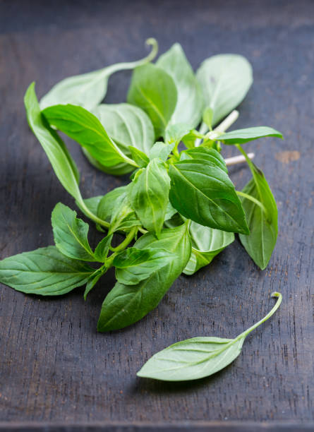 istock Image of Thai basil leaves 1153452736