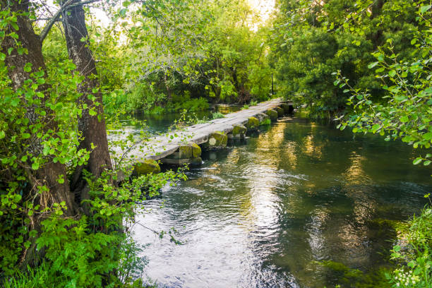 istock Footbridge crossing Umia river 1153453733