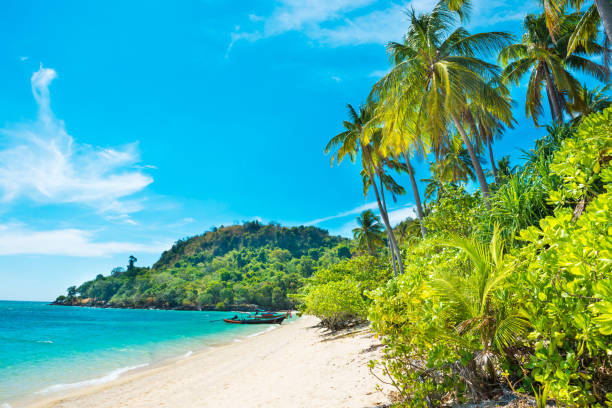 istock Beautiful beach at tropical island with palm trees 1153454229