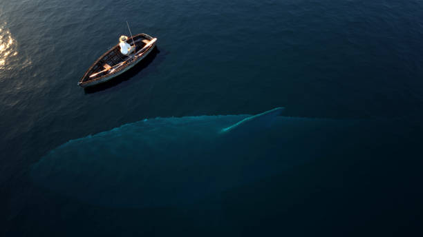 Fishing, big shark underwater