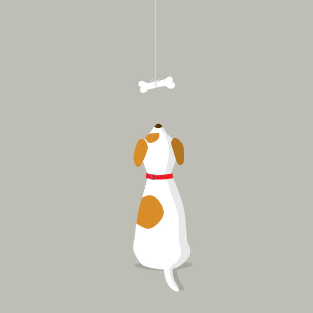 ilustraciones, imágenes clip art, dibujos animados e iconos de stock de vista posterior del perro mirando el hueso del perro - dog sitting