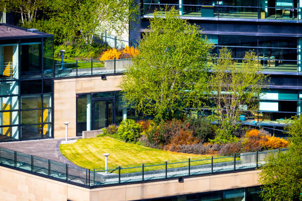 A sustainable green office or housing complex with roof gardens