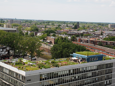 Rotterdam, Netherlands - June, 2, 2019: View on rooftop garden the Dakakker on the sevent floor of the Schieblock building in the center of Rotterdam. On this garden growing vegetables and flowers. The vegetables are used in the restaurant of the rooftop.