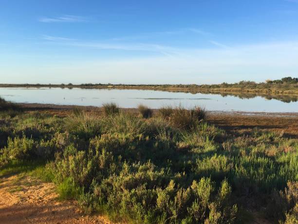 istock Salt lakes in Faro District, Portugal 1153464591
