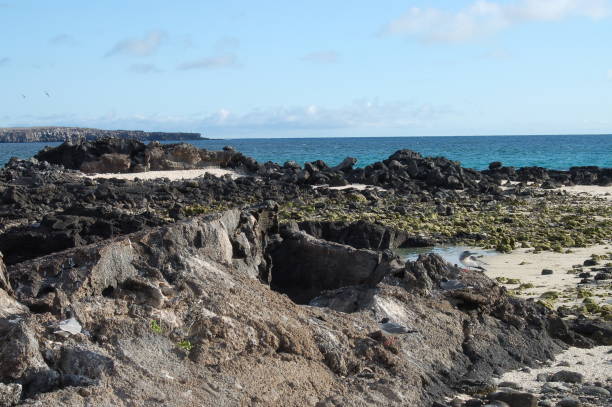 istock Sandy beach of Genovesa Island, Galapagos, Ecuador 1153464621