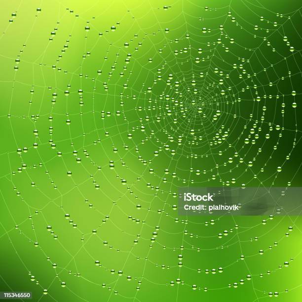 Pajęczyna Z Krople Rosy - Stockowe grafiki wektorowe i więcej obrazów Rosa - Rosa, Pajęczyna, Grafika wektorowa
