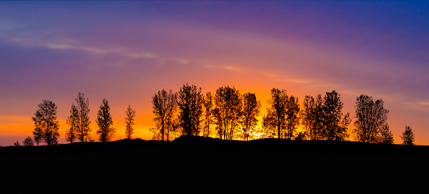 Ridge of trees holds the sunrise at bay, prolonging the beautiful, colorful twilight.