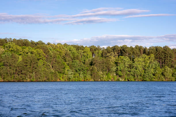 Woods on a lake with a cloudy sky.