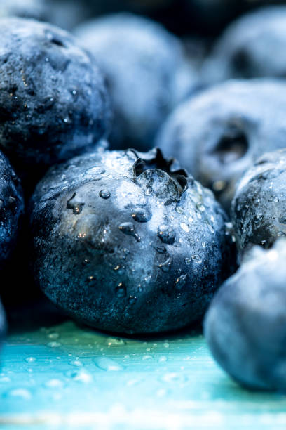 istock Makro closeup from fresh harvested Blueberries or huckleberries with waterdrops 1153469128