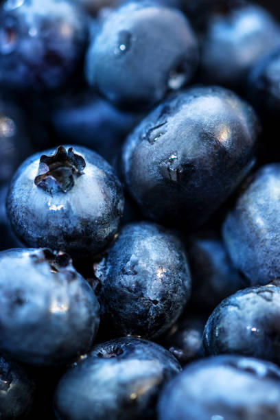 istock Fresh raw blueberries with waterdrops, blue summer and berry background 1153469301