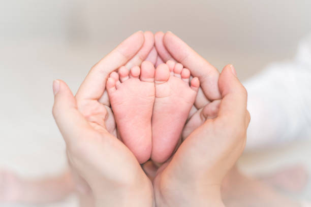 Close up of newborn baby feet on female hands stock photo