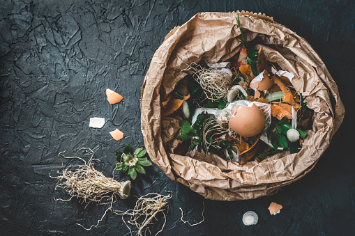 Garbage sorting. Organic food waste from vegetable ready for recycling and to compost on the dark background. Environmentally responsible behavior, ecology concept. Flat lay