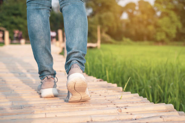 istock Young woman traveler walking at beautiful green paddy field 1153473136
